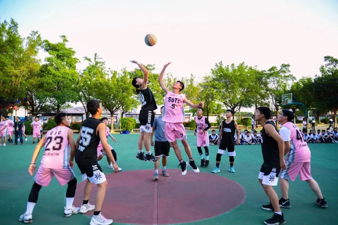 6686体育-全网最全最有态度的体育赛事直播平台_6686sports|花都中专学校